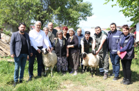 BAŞKAN ÇERÇİOĞLU’NDAN KOYUNLARI TELEF OLAN ÜRETİCİ KADINA DESTEK