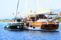 GÖCEK KOYLARI BÜYÜKŞEHİR İLE DAHA TEMİZ